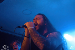 DCIMG_0233X-low-light