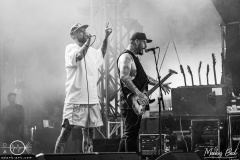 Deez-Nuts-Mannheim-Delta-Bash-Sa-18-06-2022-MaB-DSC3711