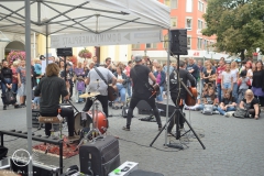WZF_7010