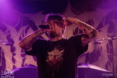 sylssub0102DSC_7772X-low-light