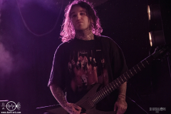 sylssub0102DSC_7865X-low-light