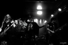 bsm2025DSC_1238X-low-light bsm2025DSC_1238X-low-light