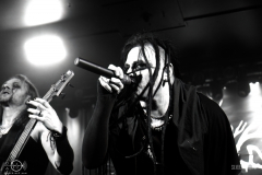 bsm2025DSC_1284X-low-light bsm2025DSC_1284X-low-light