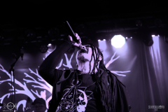 bsm2025DSC_1310X-low-light bsm2025DSC_1310X-low-light