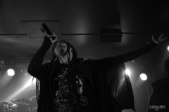 bsm2025DSC_1338X-low-light bsm2025DSC_1338X-low-light