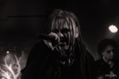 bsm2025DSC_1346X-low-light bsm2025DSC_1346X-low-light