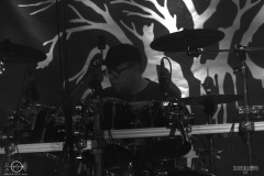 bsm2025DSC_1619X-low-light bsm2025DSC_1619X-low-light