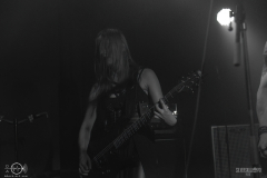 bsm2025DSC_1679X-low-light bsm2025DSC_1679X-low-light