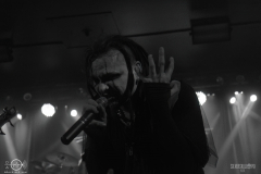 bsm2025DSC_1695X-low-light bsm2025DSC_1695X-low-light