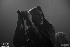 ejlmh2102DSC_0623X-low-light