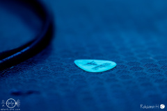 Evergrey-Wuerzburg-19-11-2024-rh-4406