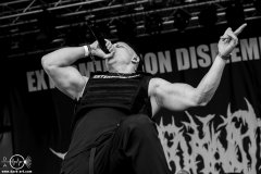 Extermination-Dismemberment-WOA-DO-31-07-2025-PS9241