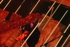 Faun-Neu-Isenburg-2017-36