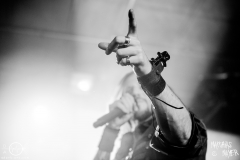 dArtagnan-Hirsch-Nuernberg-2904-2022-MM-8493