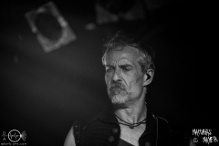 dArtagnan-Hirsch-Nuernberg-2904-2022-MM-8598