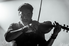 dArtagnan-Hirsch-Nuernberg-2904-2022-StS-08238