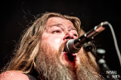 Rauhbein-Hirsch-Nuernberg-2904-2022-MM-8141