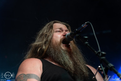 Rauhbein-Hirsch-Nuernberg-2904-2022-StS-07858