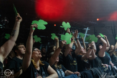 Rauhbein-Hirsch-Nuernberg-2904-2022-StS-07952