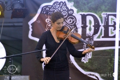 fft15_DSC0017