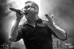 Fiddlers-Green-Taubertal-2021-08-18-3550