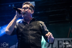 Fiddlers-Green-Taubertal-2021-08-18-3574