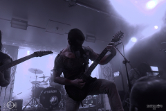 SOBAD2DSC_4719X-low-light