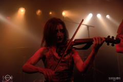 SOBAD2DSC_4889X-low-light