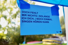 Fish-Freunde-Treffen-12-Kirchscheidungen-18.19.08.2017_DSC_0004