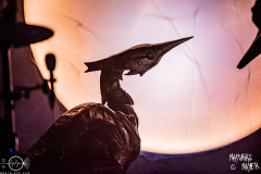 Alcest-Batschkapp-Frankfurt-08-12-2024-MM-AL1_0458-Verbessert-RR