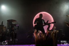 Alcest-Batschkapp-Frankfurt-08-12-2024-MM-AL2_7292-Verbessert-RR