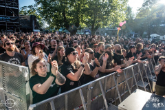 Mr-Irish-Bastard-Giessener-Kultursommer-27-08-2024-MM-SM2_2869-done