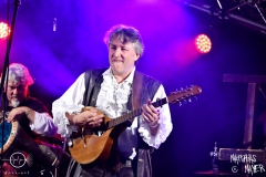 Zackenflancke_65_ORP_7464