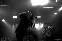 SOBAD2DSC_3801X-low-light