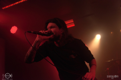 SOBAD2DSC_4067X-low-light