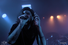 SOBAD2DSC_4107X-low-light