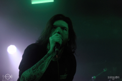 SOBAD2DSC_4147X-low-light