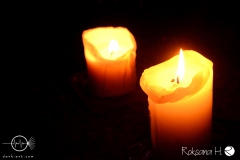 WZF_8786