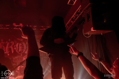 Grz25DSC_6186X-low-light