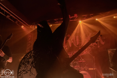 Grz25DSC_6318X-low-light