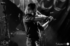 fiddlers-green-Kulturtage-Gut-Woellried-MOA_1303 fiddlers-green-Kulturtage-Gut-Woellried-MOA_1303