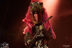 hvysrs25DSC_3847X-low-light