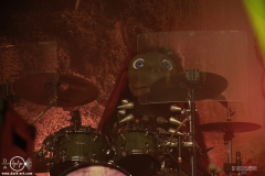 hvysrs25DSC_3852X-low-light