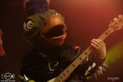 hvysrs25DSC_3909X-low-light