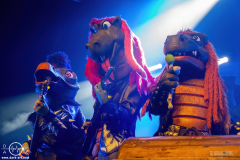 hvysrs25DSC_4161X-low-light