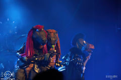 hvysrs25DSC_4345X-low-light