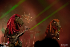 hvysrs25DSC_4622X-low-light