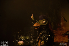 hvysrs25DSC_5110X-low-light