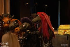 hvysrs25DSC_3717X-low-light