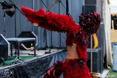 Harpyie-Heidenlaerm-1706-2022-StS-03015